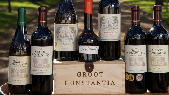 Two Oceans Aquarium World Birds and Wine Tasting Tour