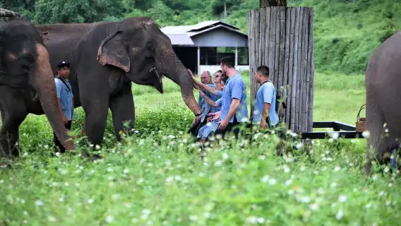 清邁:小團體道德大象保護區之旅