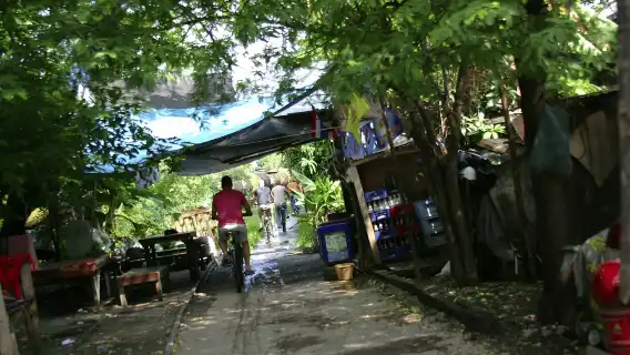 曼谷：城市文化半日自行車之旅