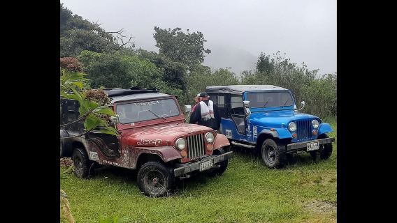 Ab Salento: Wanderung durch das Cocora-Tal mit Mittagessen