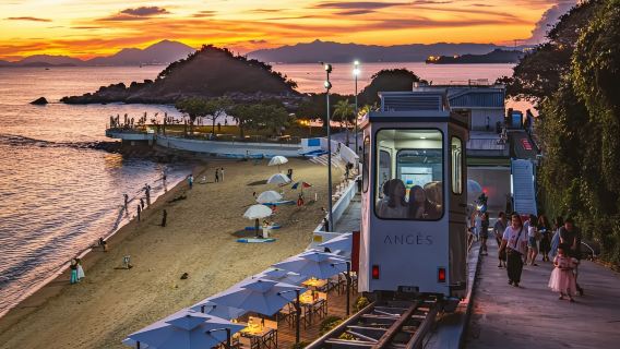 Shenzhen: Lutzui Villa + Cloud Sea Angel Bay + Dapeng Ancient City|Customized Car and Driver in Multiple Languages (Chinese, English)