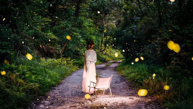 [Satu Pesanan Satu Kenderaan] Lawatan Sehari Taman Botani Tropika Akademi Sains China + Lawatan Malam Kunang-Kunang