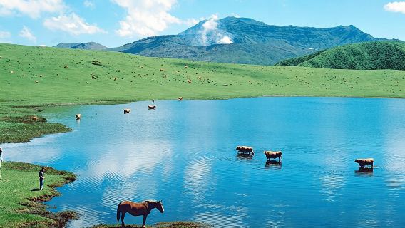 Kyushu: Aso Vocano, Grassland,Onsen and Aso shrine 1-Day Tour