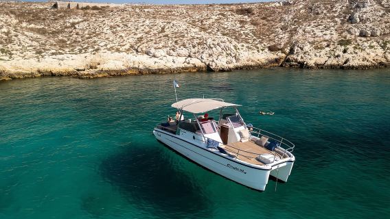 Marseille: Half-Day Boat Tour to the Calanques National Park