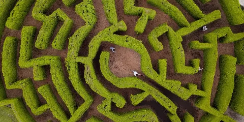 范度森植物園門票