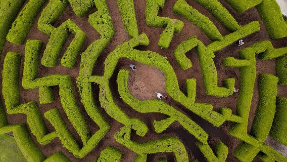 บัตรเข้าชมสวนพฤกษศาสตร์แวนดูเซน