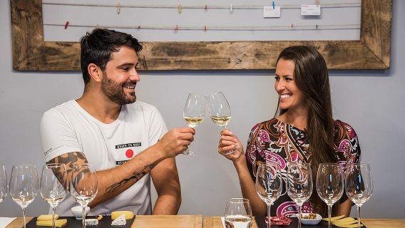 Wine Tasting Experience in Barcelona