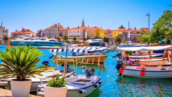 Semi-Private Day Tour of Montenegro: Budva & Kotor from Tirana