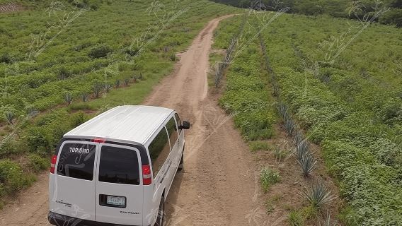 Private Tour zum Dorf El Quelite und zur Tequila-Brennerei ab Mazatlan