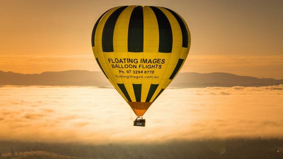 BrisbaneExperiences