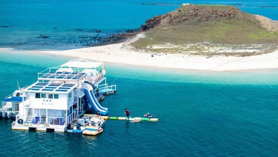 Penghu Wangyou Island one-day tour| Coral Reef Snorkeling | Private Marine Paradise | Seafood Lunch Feast Secret Uninhabited Island | Ecological Coral Reef Restoration Area