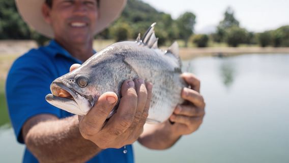 Hook-a-Barra Gourmet Farm Tour