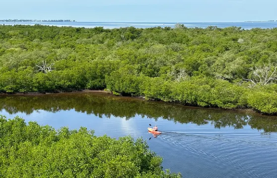 羅賓遜保護區紅樹林之旅