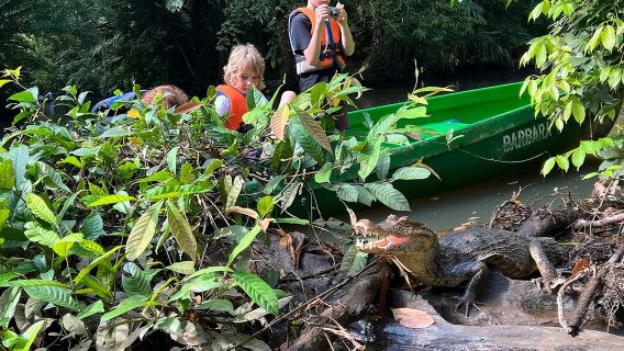 Kanutour in kleiner Gruppe im Tortuguero-Nationalpark
