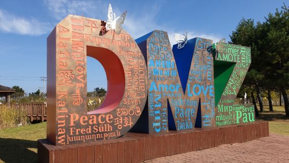Paju