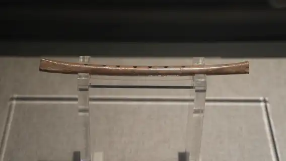 河南博物院猩咖說|私人團|門票+文史達人精講 2.5H