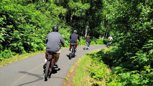 Viator Exclusive: Go eBike Alaska on Tony Knowles Trail