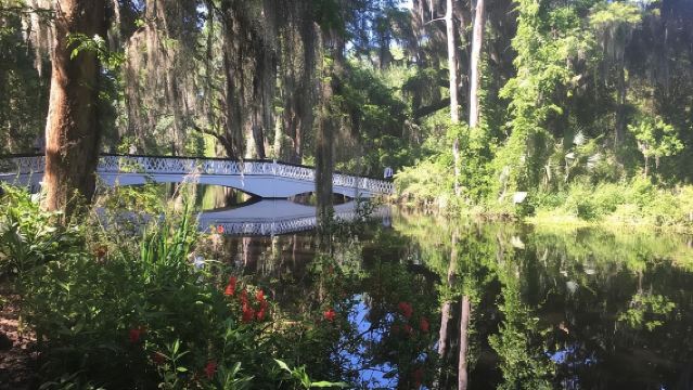 Magnolia Plantation Admission & Tour with Transportation from Charleston