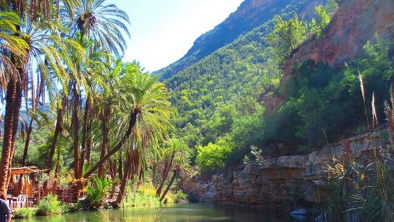 Visita guiada privada a las montañas del Atlas y al pueblo de Taghazout