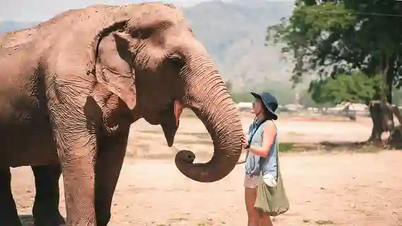 清邁LG大象營+網紅粘粘瀑布+竹筏漂流一日遊
