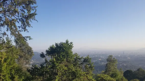 Hele dagtour door Addis Abeba met ophalen en afzetten bij het hotel