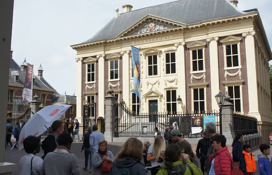 海牙兩小時徒步之旅|與當地人一起探索這座城市