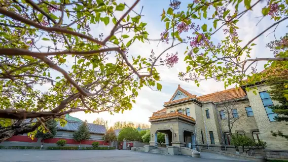 偽滿皇宮博物院+長春電影製片廠+這有山+54路專程【2人起】