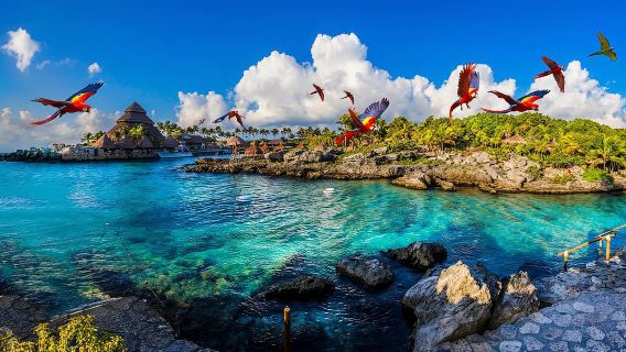 From Riviera Maya: Complete Combo to Xcaret Park!