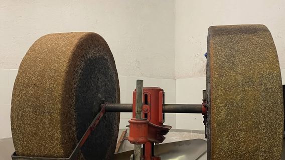 Degustazione di olio d'oliva e visita al Lago di Como