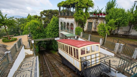 Tour Porto: Nửa ngày /Braga / Guimarães - nơi Bồ Đào Nha ra đời!