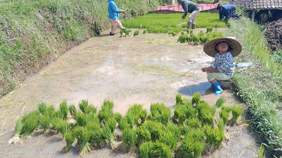 Bali: Recorrido en bicicleta eléctrica de 1 hora por las terrazas de arroz de Jatiluwih