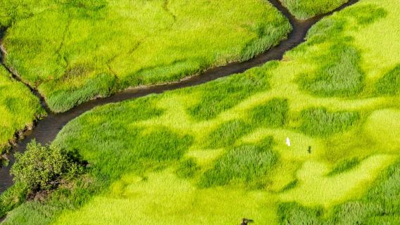 Jabiru: Guided Flight over Kakadu National Park
