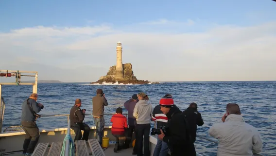 Baltimore, County Cork: Val- och delfinskådningsbåtresa