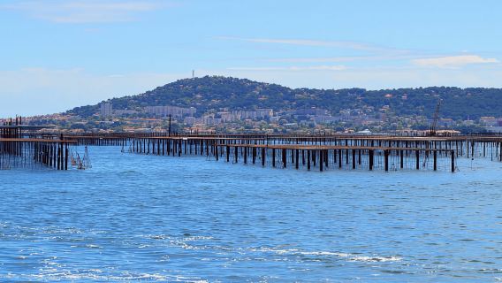 Promenade en bateau sur les canaux sur l'étang de Thau