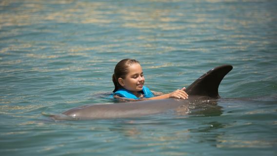 Punta Cancún: Nado con delfines Harmony
