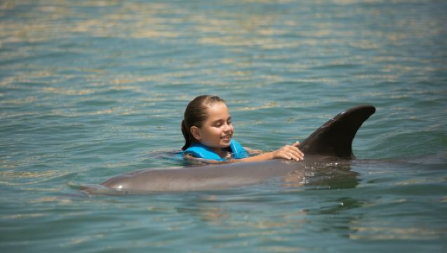 Punta Cancun: Swim with dolphins Interax
