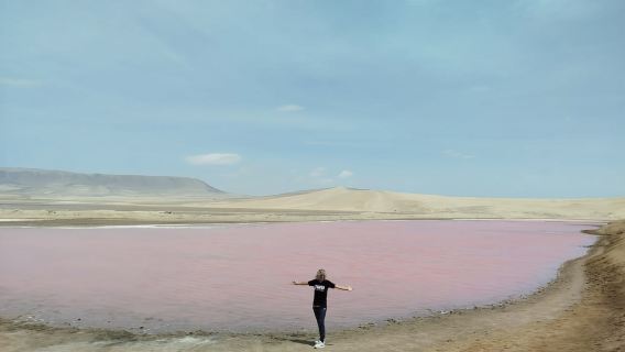 จากท่าเรือซานมาร์ติน: เกาะ Ballestas และเขตสงวน Paracas