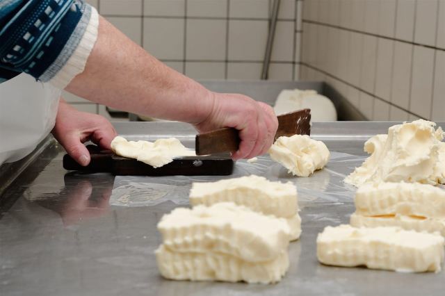 Vico Equense: Tour in the dairy "Mozzarella Experience"