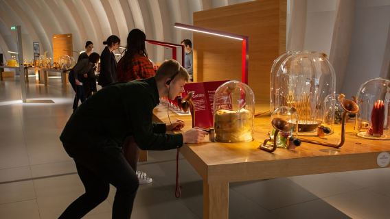 Burdeos: entrada a la Cité du Vin y cata de vinos