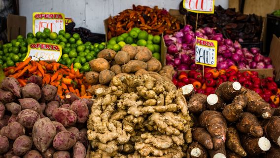 Santiago del Cile: Tour in Bici tra i Mercati