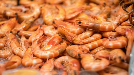 มูลูลาบา: ล่องเรือรับประทานอาหารกลางวันพร้อมอาหารทะเล