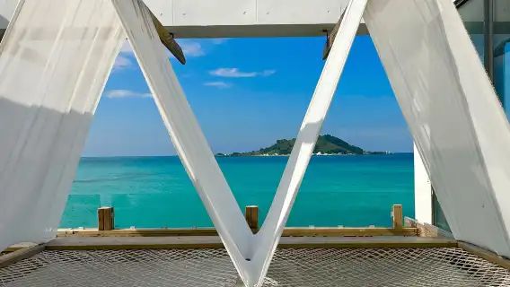 【追海豚西南線】濟州島旅遊一日遊涯月邑挾才海水浴場小羊肖恩山茶花