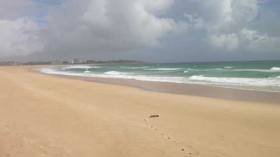 Abicada lagoon and Alvor dunes birdwatching tour