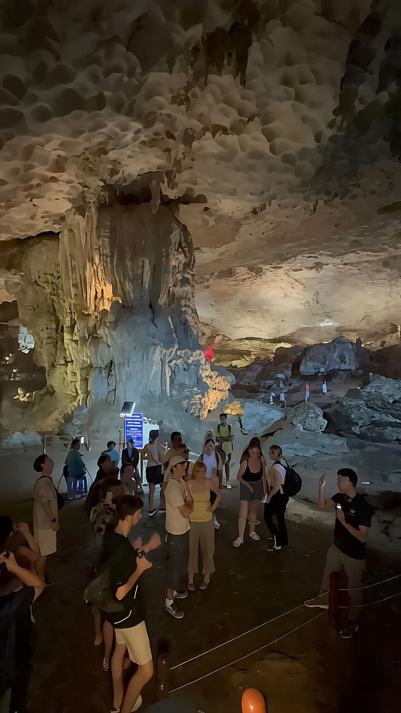 Ha Long Bay Sightseeing Cruise Full Day Tour From Hanoi