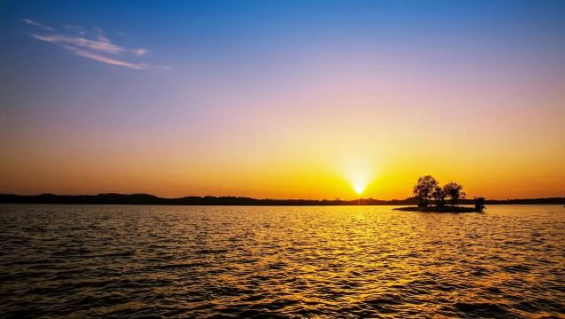 후베이 쑤이저우 피파 호 + 윈펑 산 만 무 차밭 당일 치기 여행 (중영 서비스 가능, 입장권 불포함)