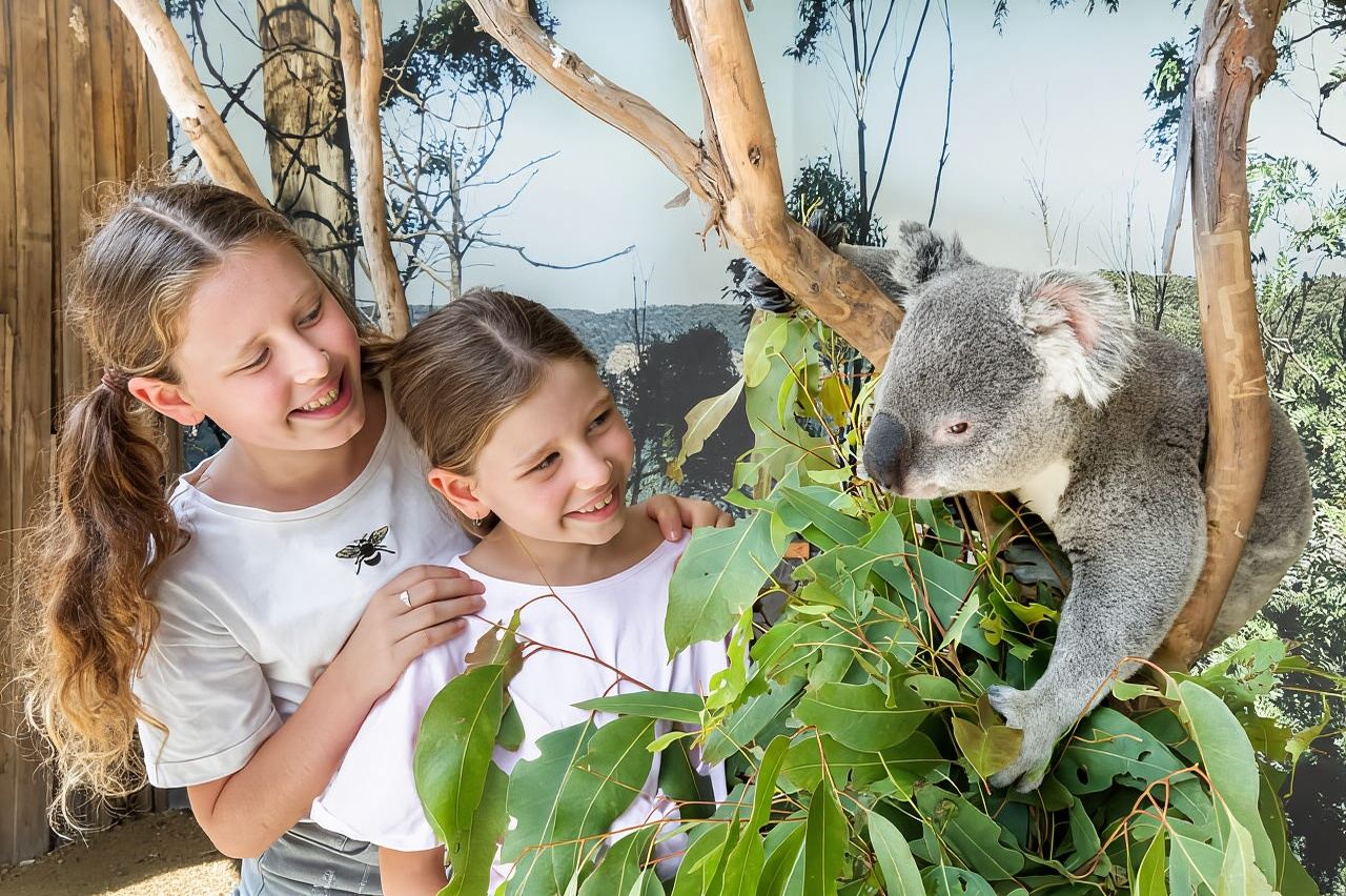 Sydney: Blue Mountains, Zoo, Leura & Scenic World Tour