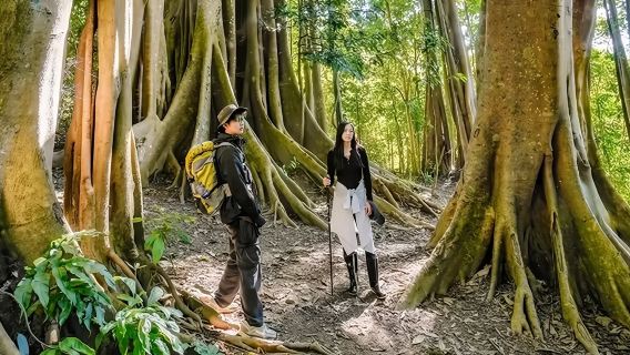 西雙版納中緬邊境一日遊（純玩團+含門票+中餐）