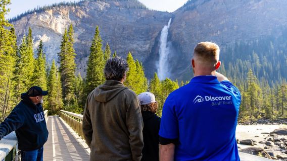 Banff: Grizzly Bear Refuge Tour with Lunch