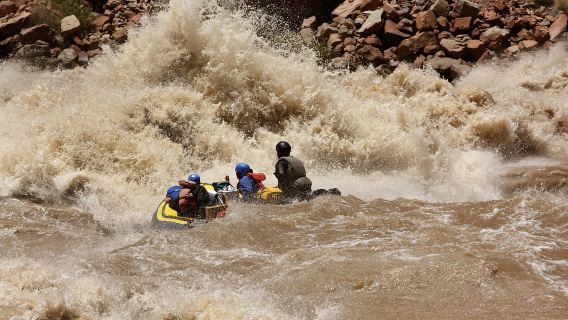 From Moab: Cataract Canyon Whitewater Rafting Experience
