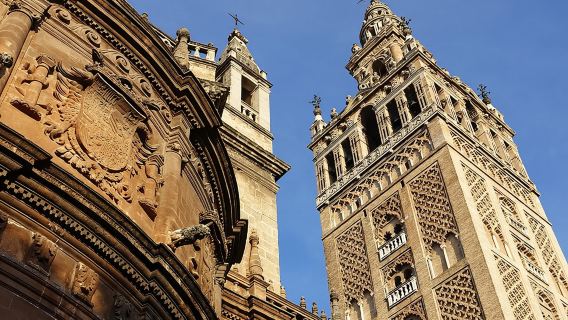 Spain Royal Alcázar of Seville + Cathedral half-day tour|Skip-the-line Admission Ticket + Professional Guided Tour